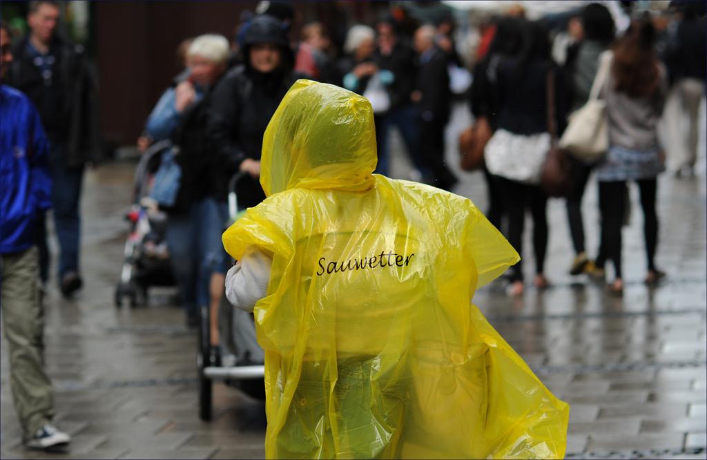 sauwetter 2W