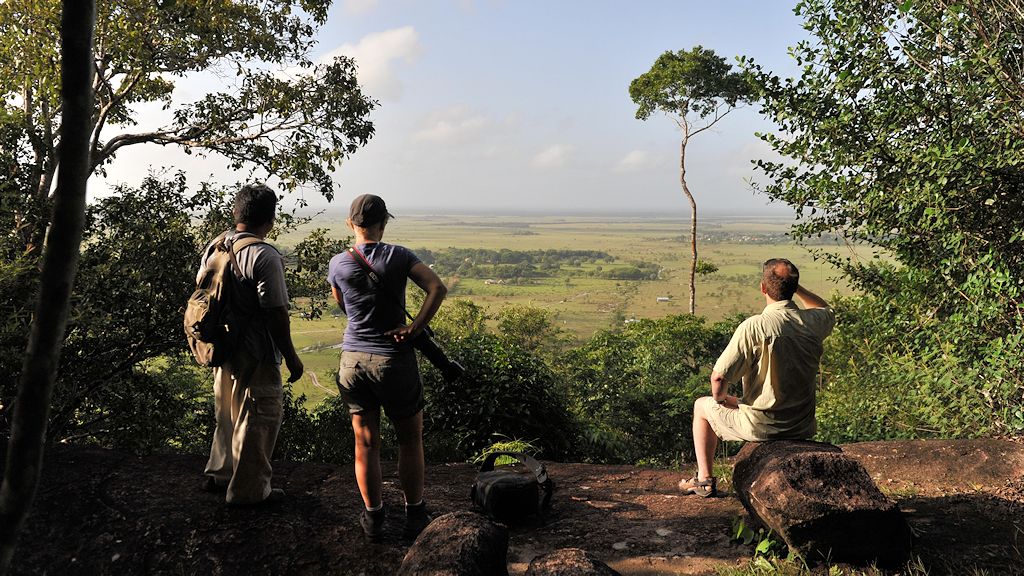 Savanna View vom Panorama Trail
2178