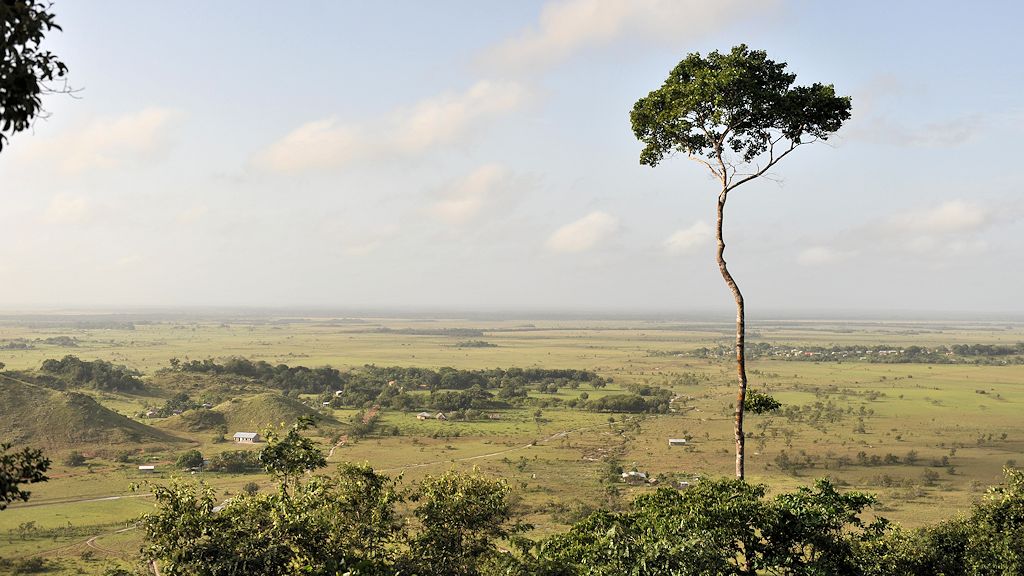 Savanna View vom Panorama Trail
2182