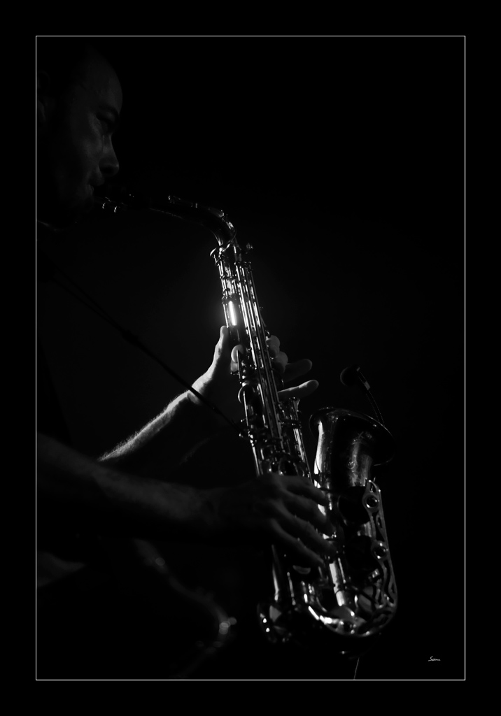 SaxaphonDSC 8162