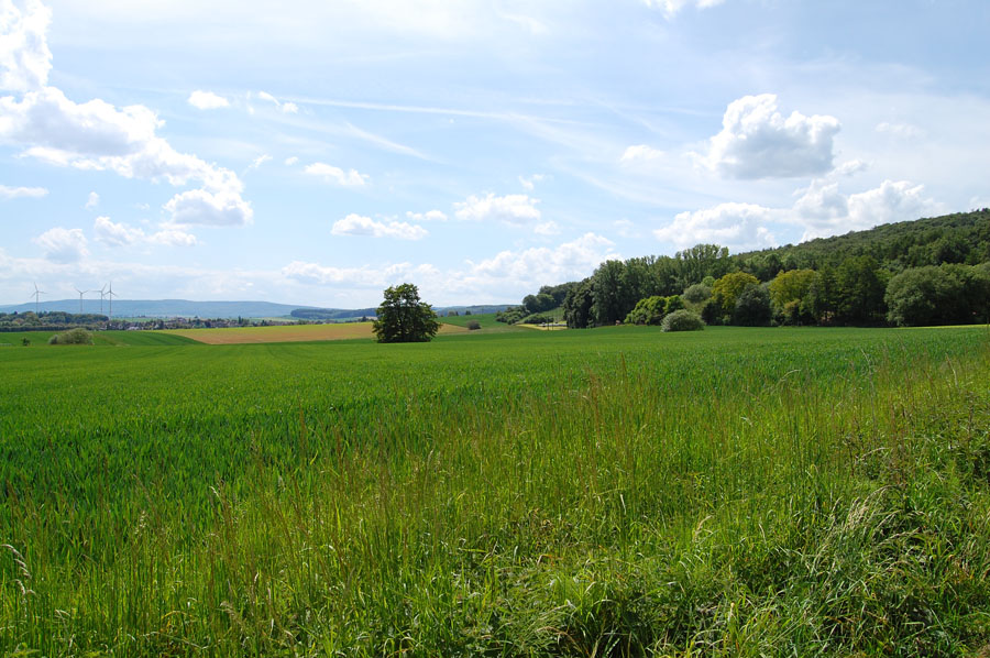 SBerg