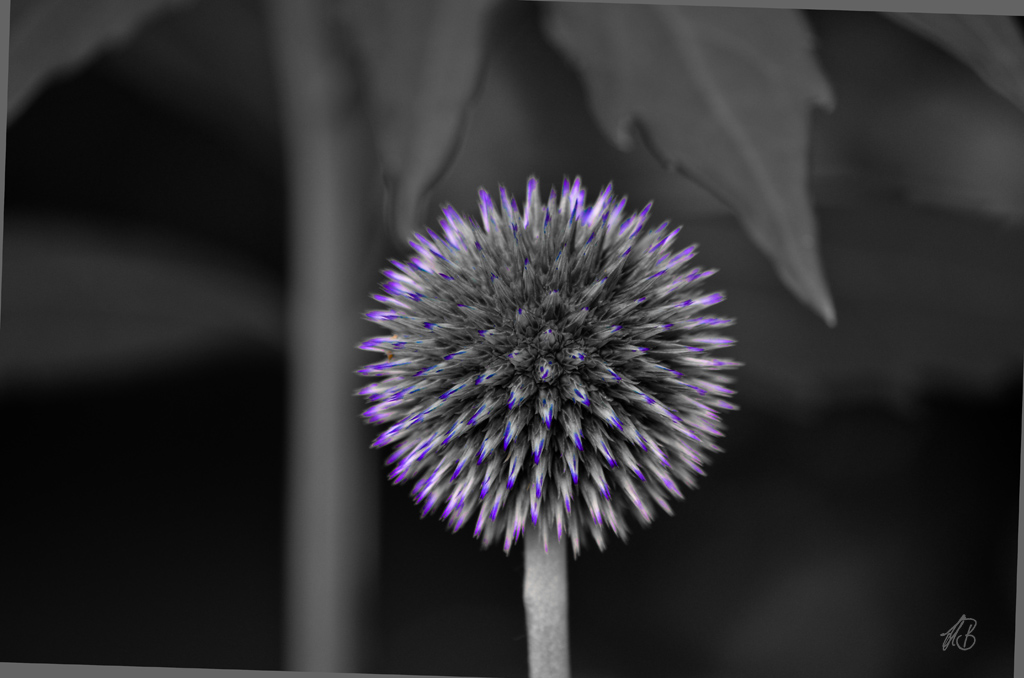 SC 0025