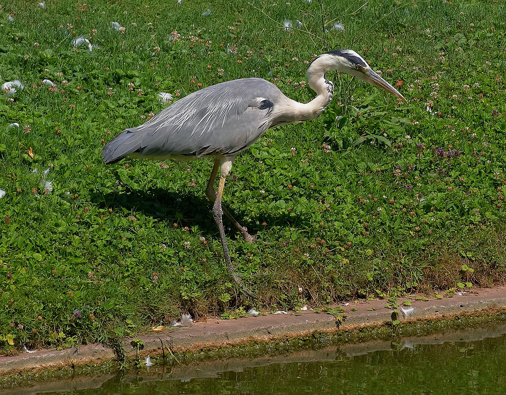 SC DSC 2038 1b