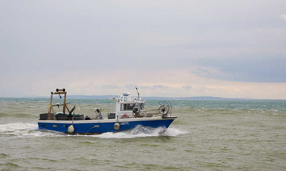 SC DSC 2083a