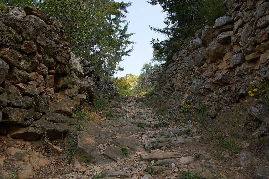 SC DSC 2261