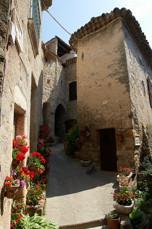SC DSC 2282