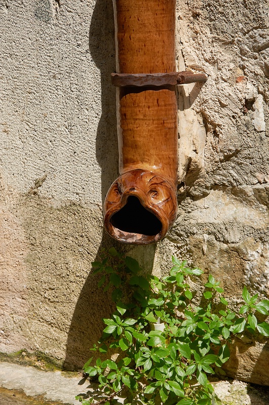 SC DSC 2288