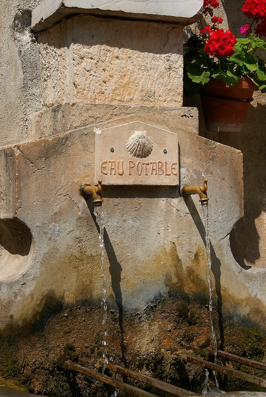 SC DSC 2292