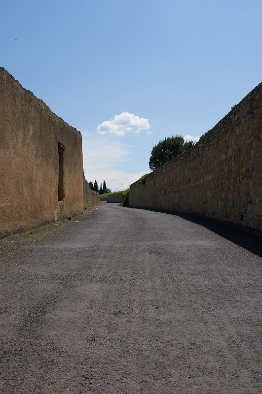 SC DSC 2791