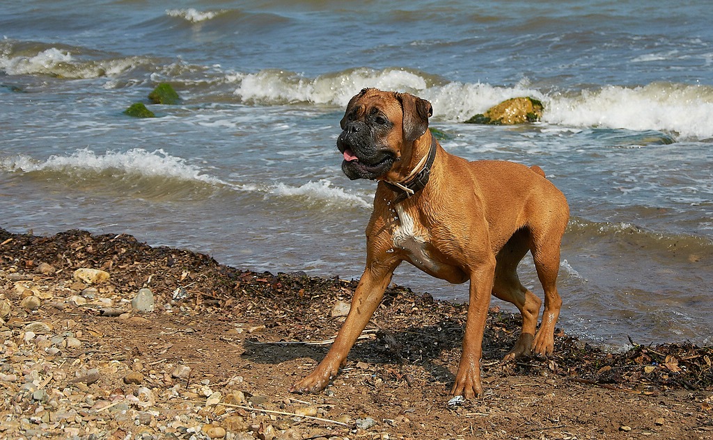 SC DSC 2956z