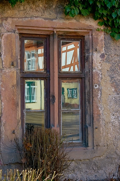 SC DSC 6019