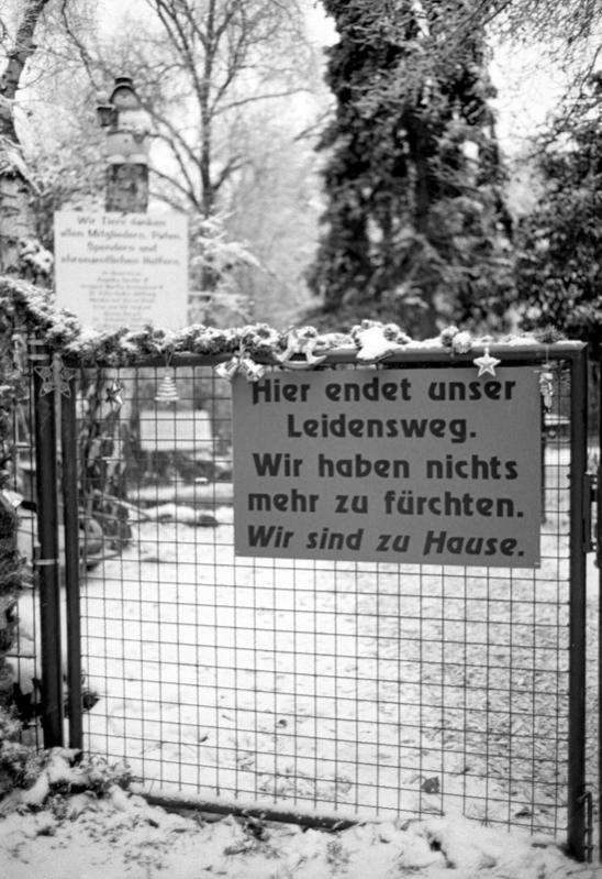 Scan 121209 0025