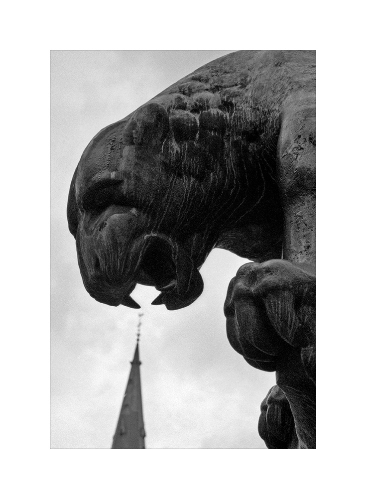 Scan Neopan 026