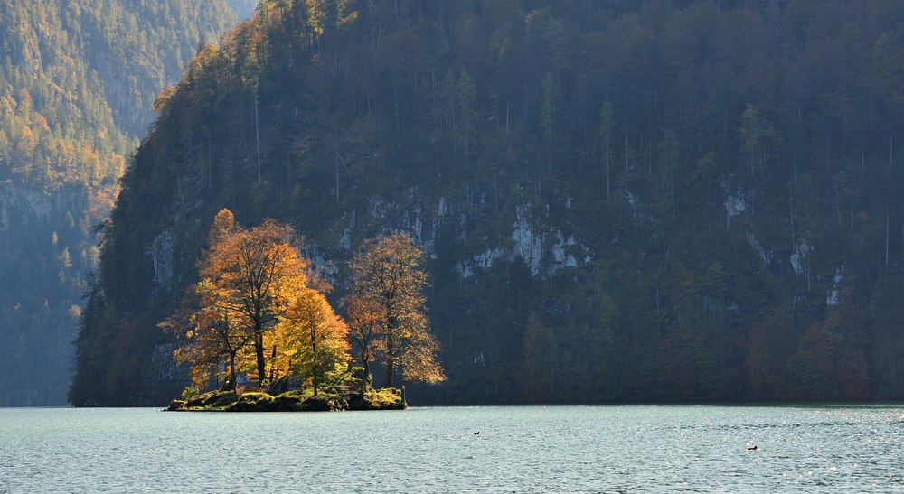 Schönau 231011 023