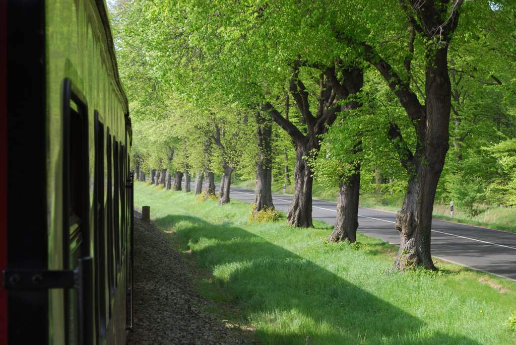 Schöne Allee kurz vor der Rennbahn (DSC 3478X)