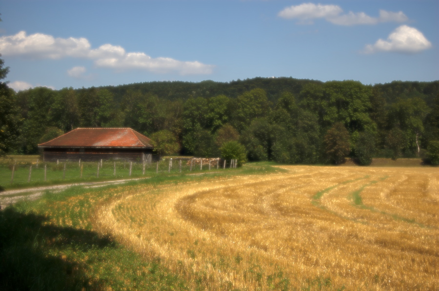 schaeftlarn schuppen malerisch