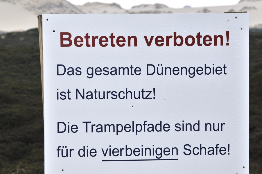Schafe