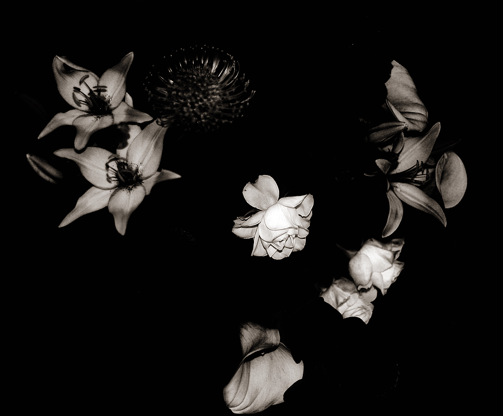 scharfe rose SW
