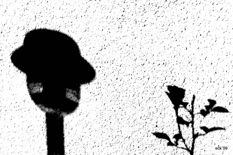 Schatten 24