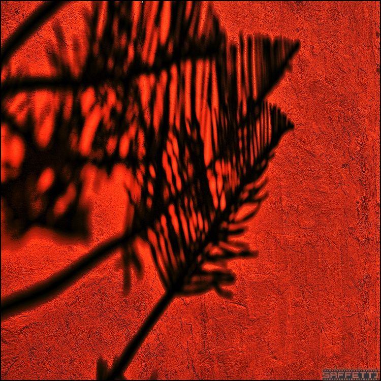 Schatten forum