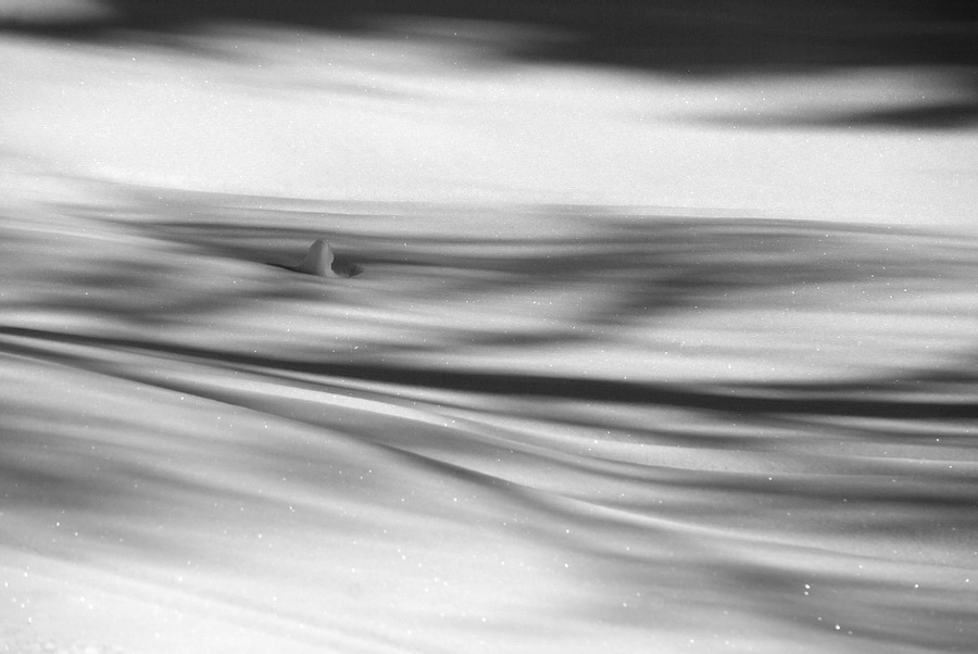 Schatten im Schnee