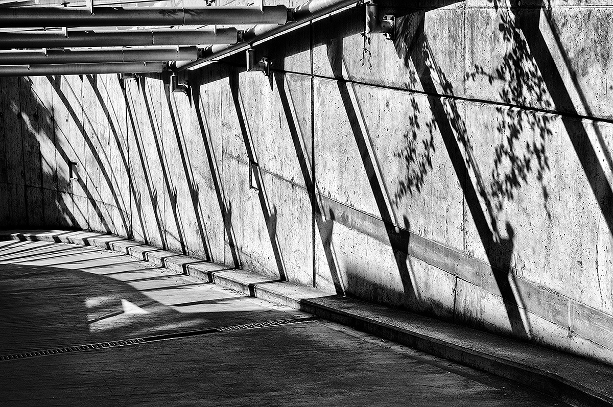 Schatten.jpg