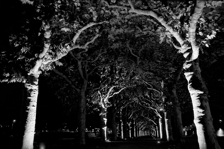 Schatten scan020neu900