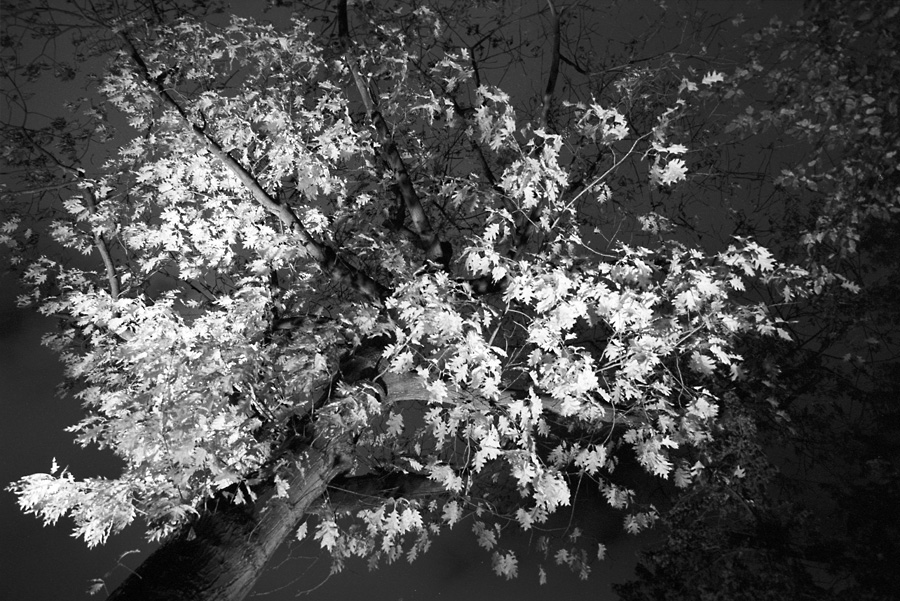 Schatten scan028neu900
