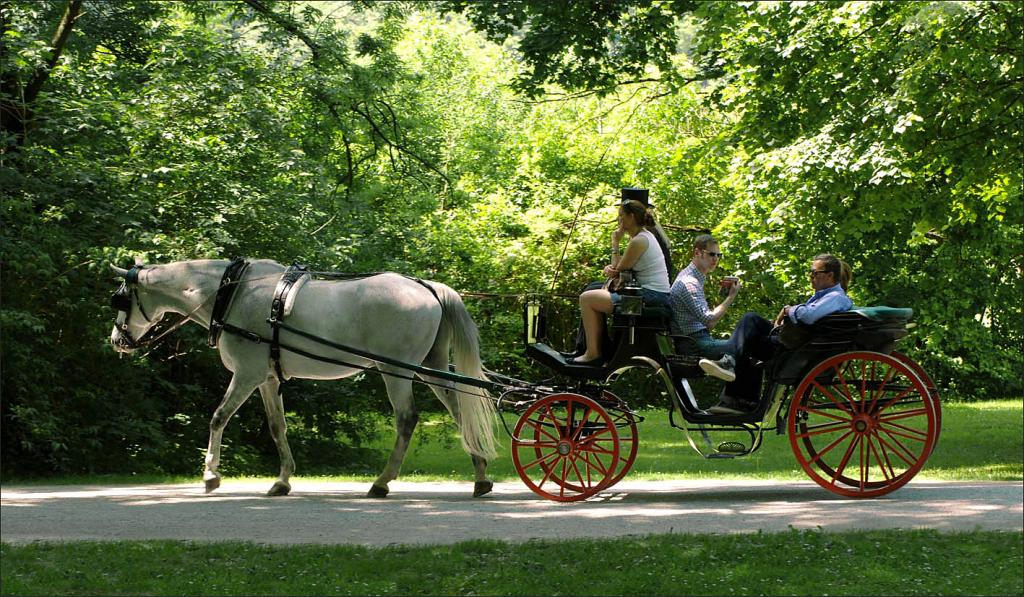 schattenfahrt 8.6.2xW