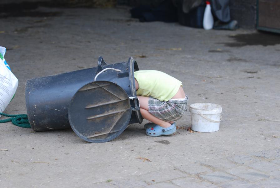 Schatzsuche