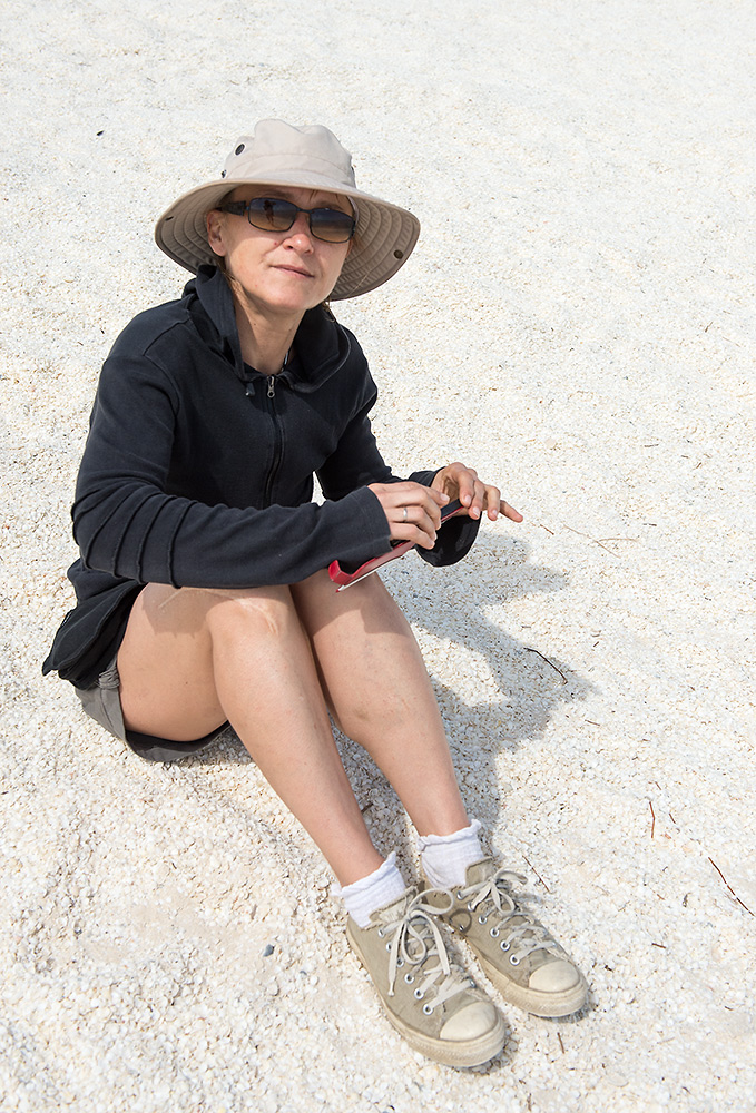schatzy und die muscheln