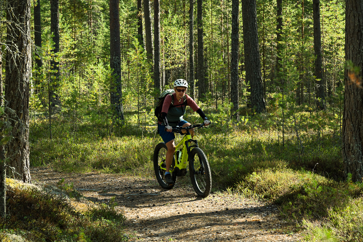 Scheden-Norwegen 2024-2925.jpg