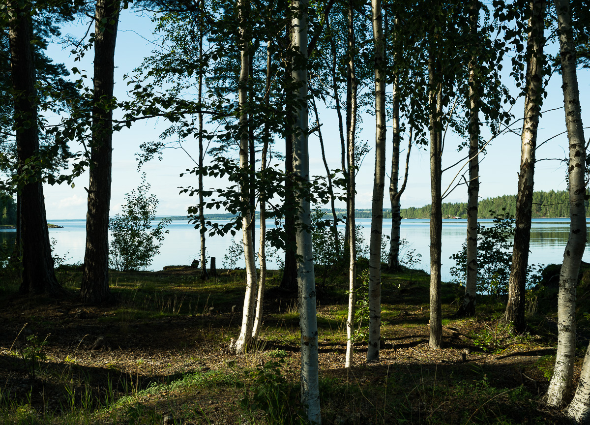 Scheden-Norwegen 2024-2978.jpg