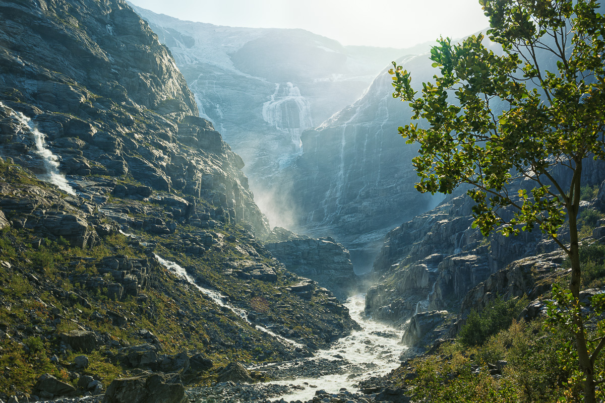 Scheden-Norwegen 2024-3461-Bearbeitet.jpg