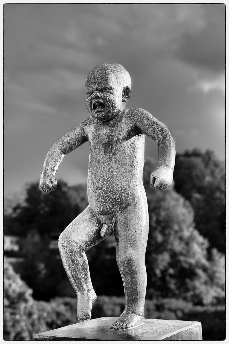 Scheden-Norwegen 2024-3831-Bearbeitet.jpg