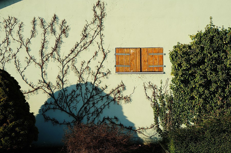 Schellenberg WandmitFenster