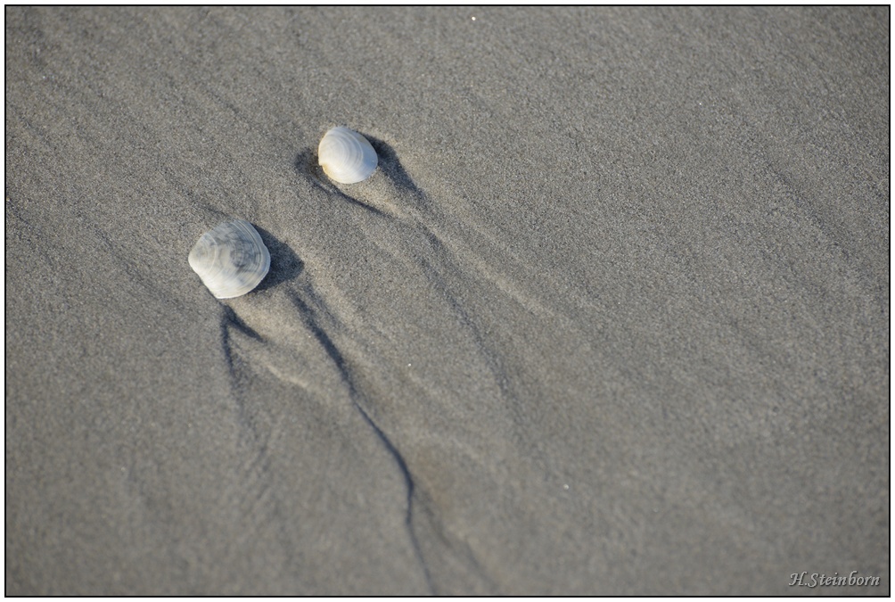 Schiermonnikoog 003