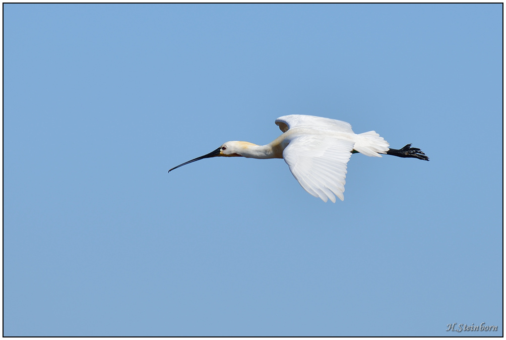 Schiermonnikoog 015