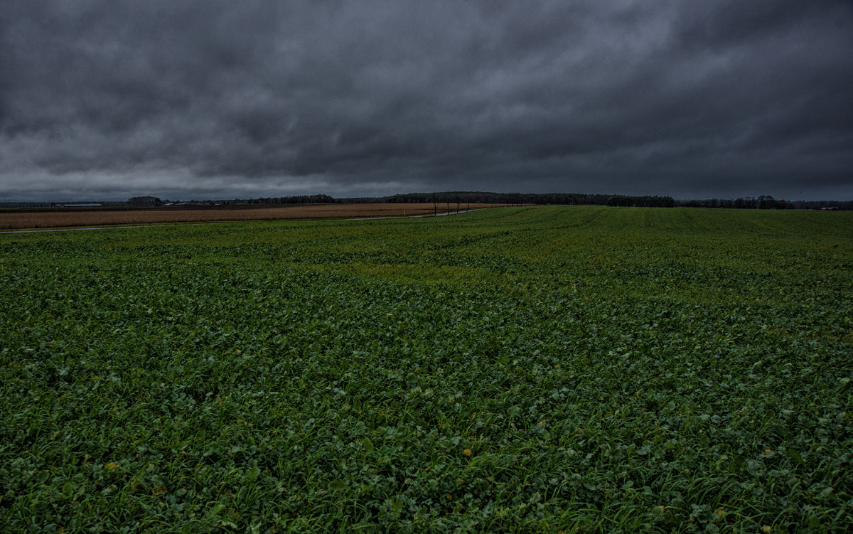 Schietwetter