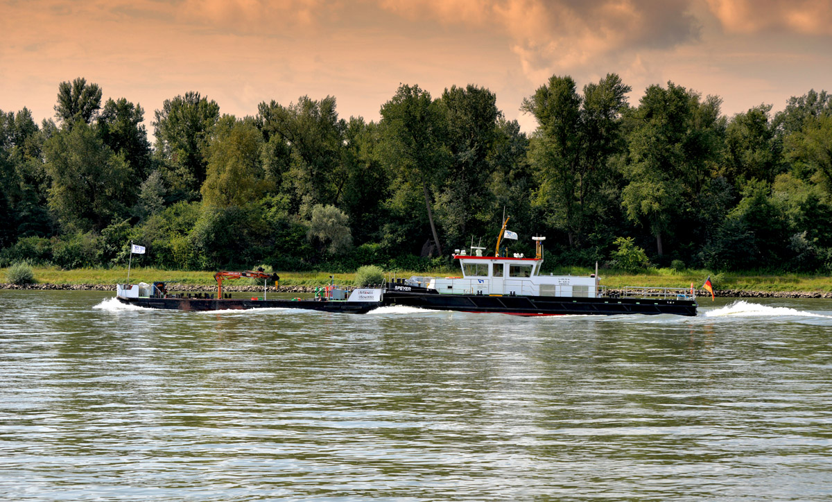 schiff am rhein 2017
