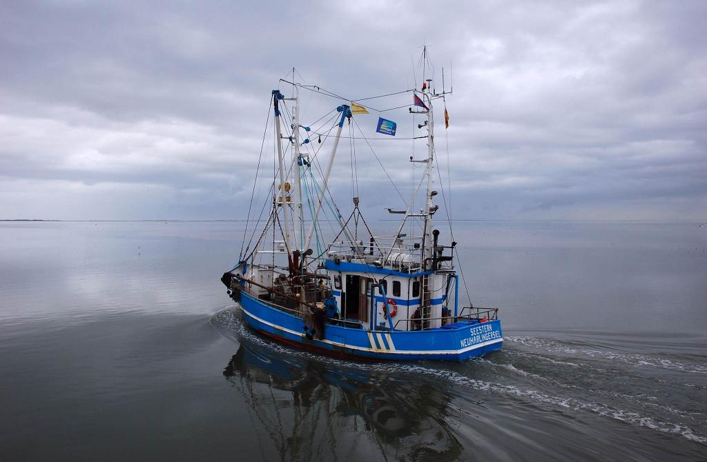 Schiff Herbst 2008