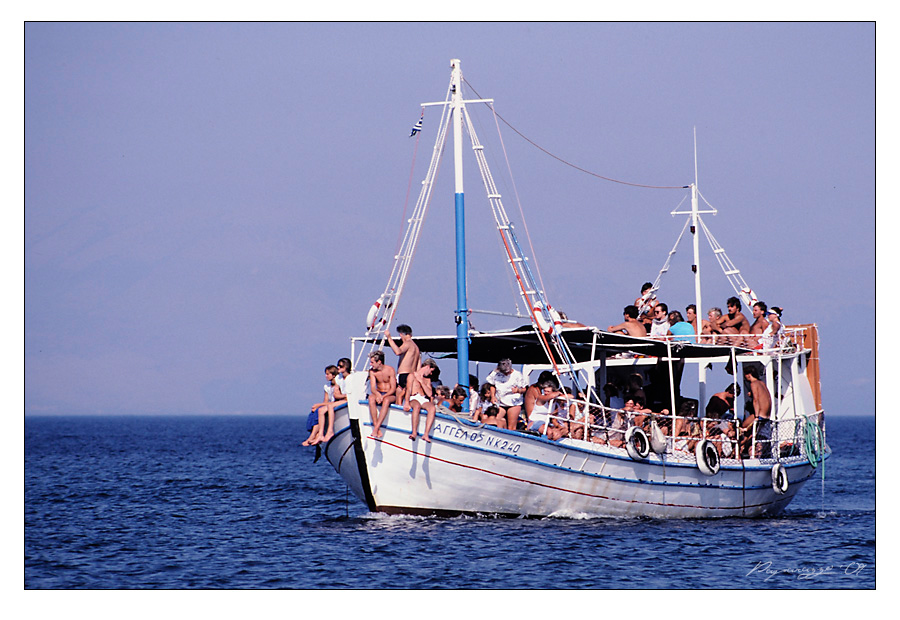 schiff