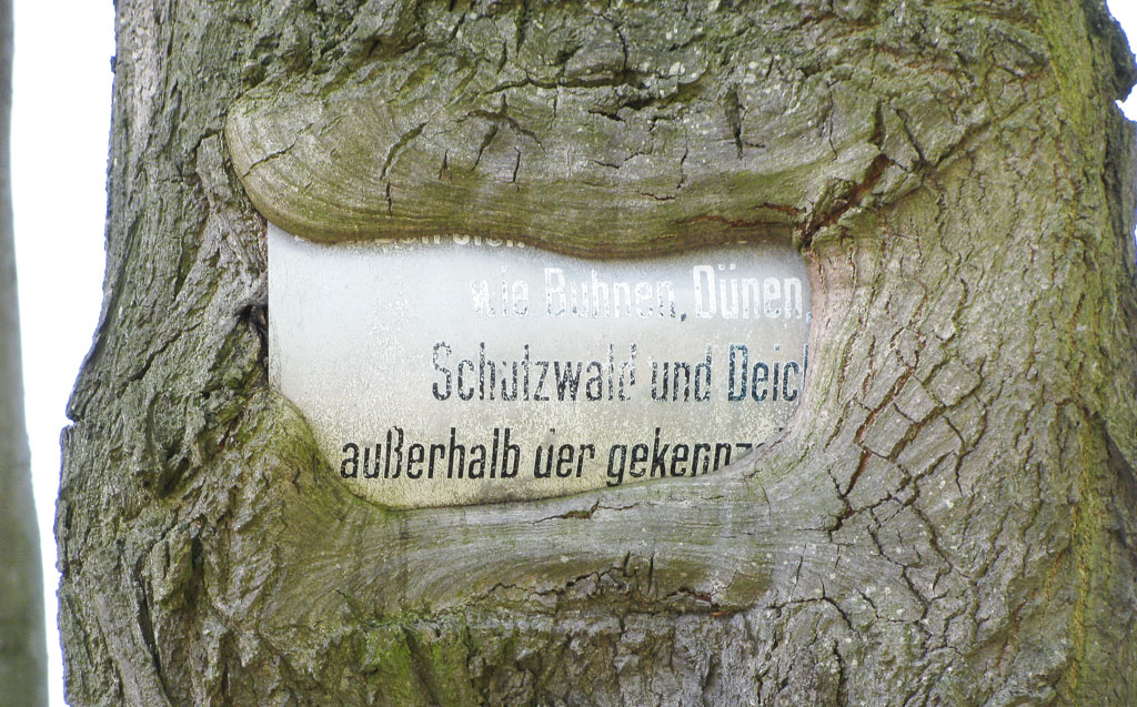 Schild im Baum