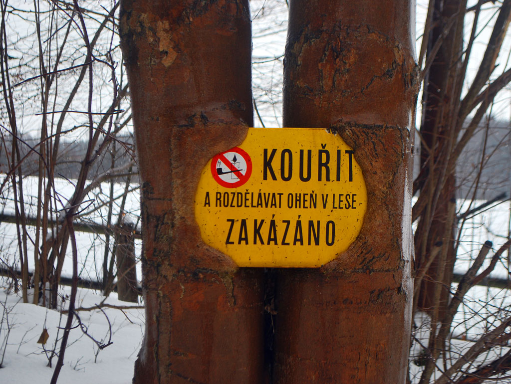 Schild im Baum
