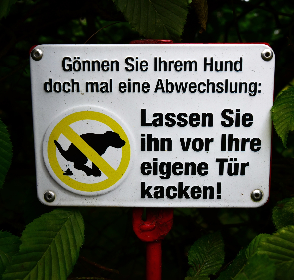 Schild.jpg
