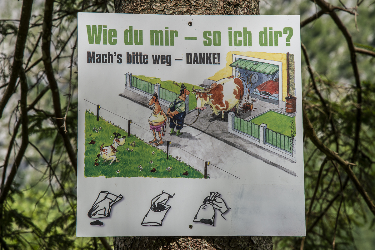 Schild Kuh.jpg