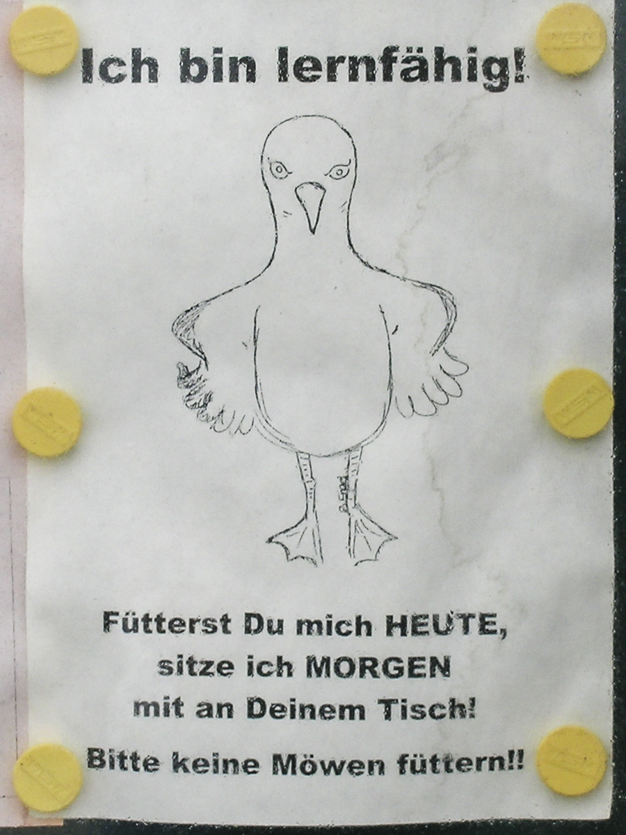 Schild Möwen füttern.jpg