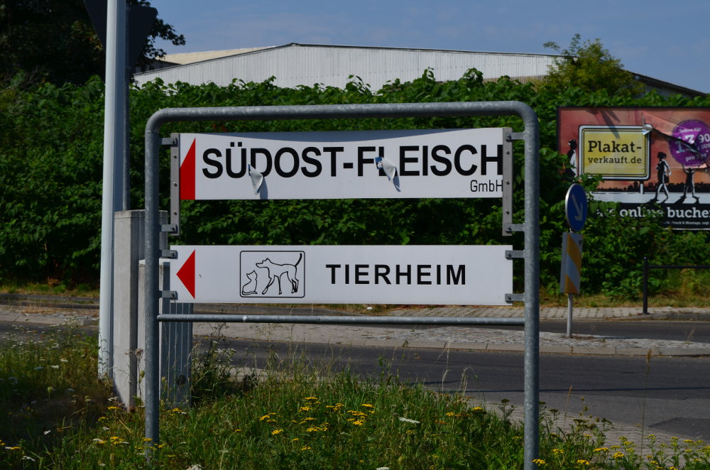 Schild