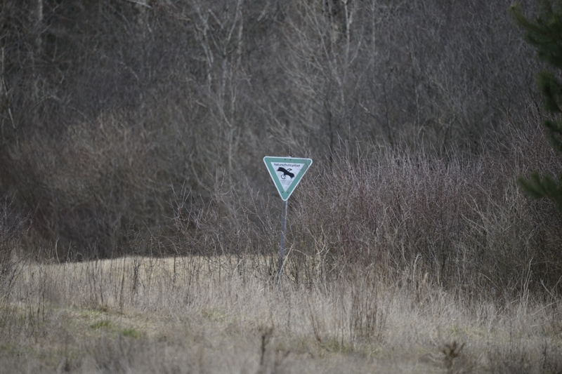 Schild
