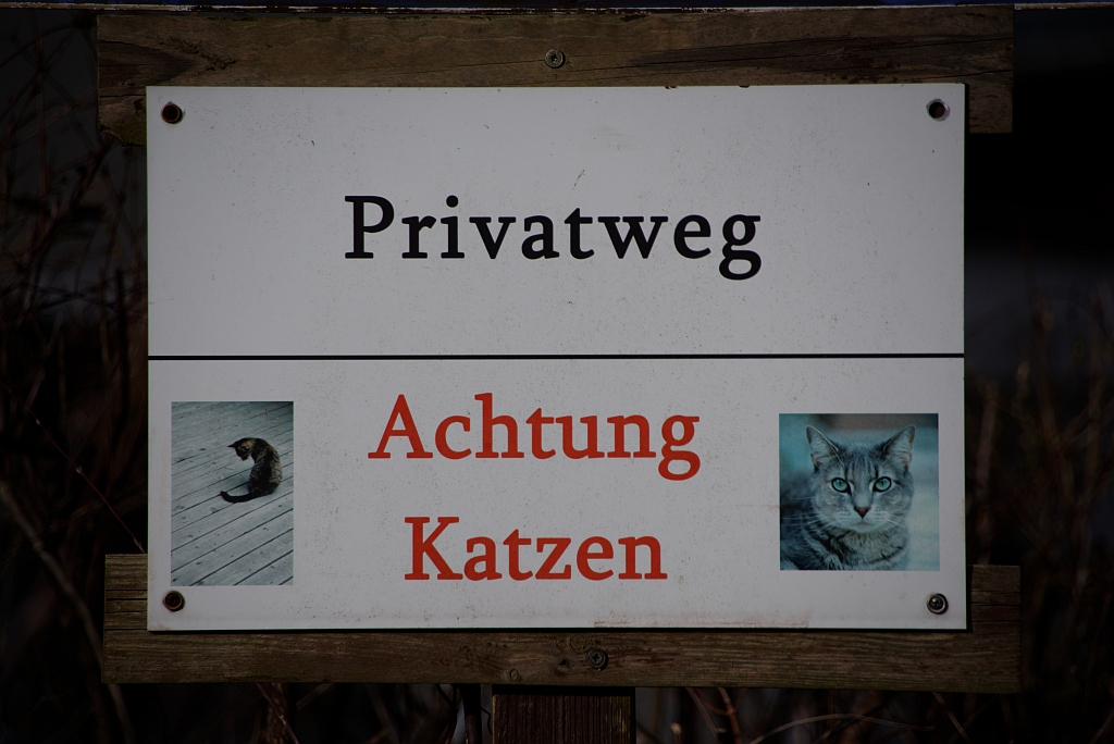 schild2